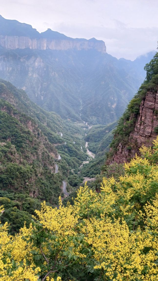 /upload/file/bd1100/202507/bomultour_cm9910_30034907.jpg