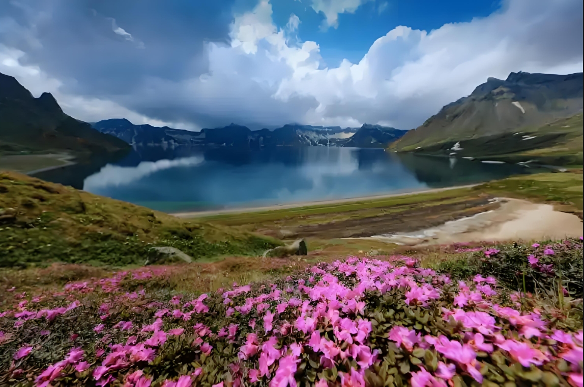 /upload/image/goods/main/30021023/bomultour_cm9900_30024606.png