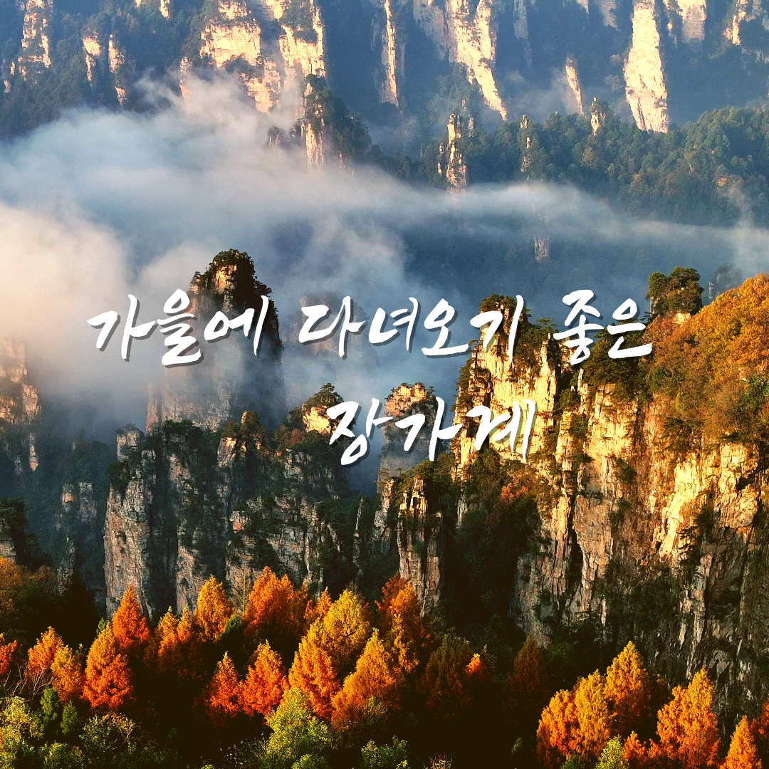 /upload/image/goods/main/30021158/bomultour_cm9900_30025256.png