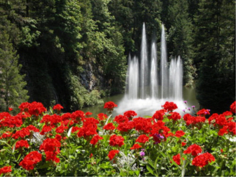 /upload/image/tourinfo/CA/YYJ/bomultour_ti0120_30001800.jpg